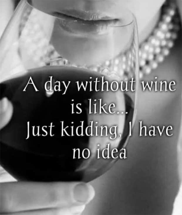 National Wine Day quote