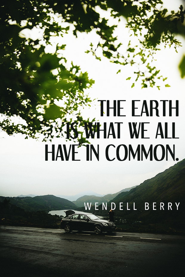 Wendell Berry environment quote