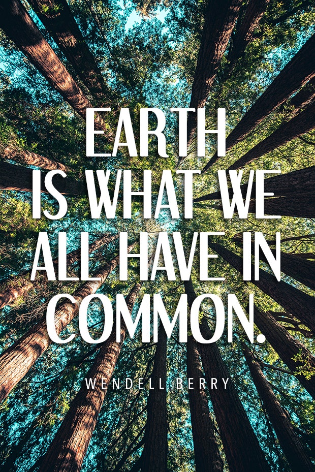 Wendell Berry environment quote