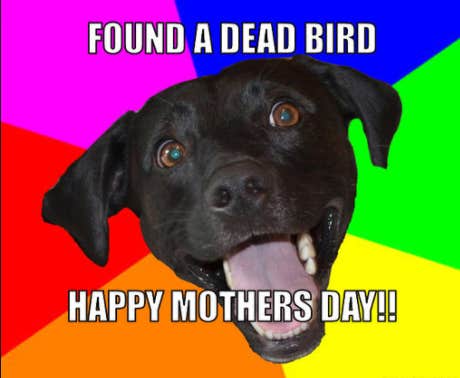 funny mother&#039;s day memes