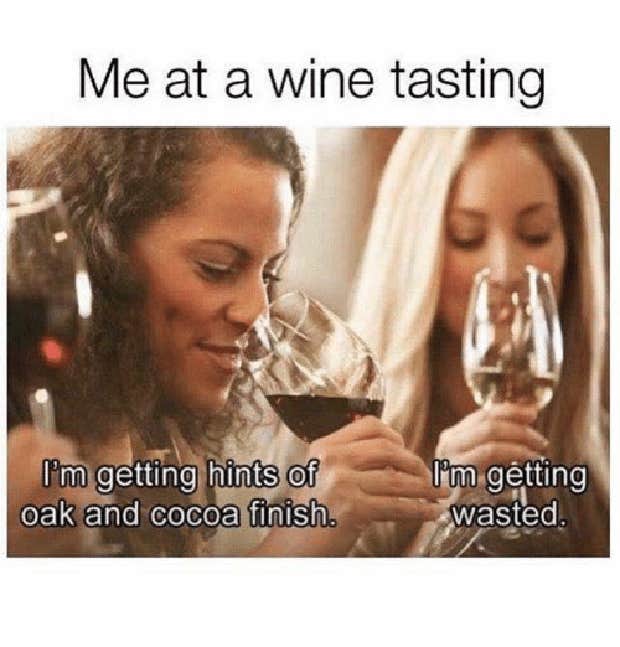 Funny Wine Memes National Wine And Cheese Day