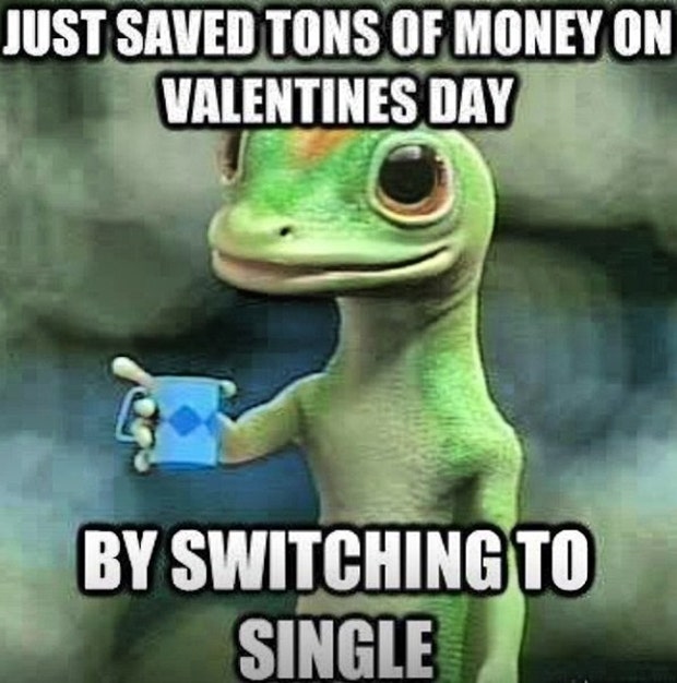 Singles Awareness Day memes being single meme funny memes