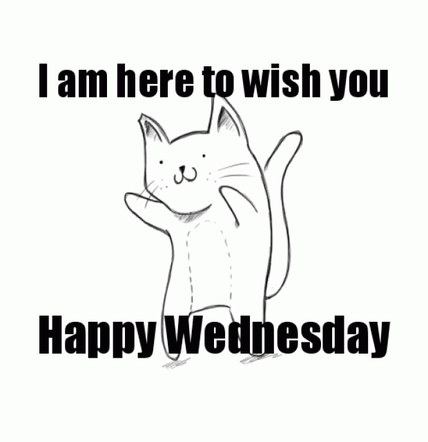 70+ Funny Good Morning GIFs & Wishes - Good Morning Wishes