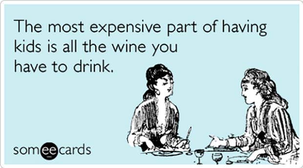 Funny Wine Memes National Wine And Cheese Day