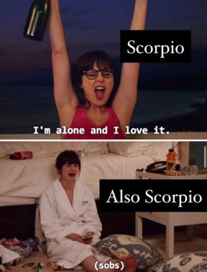 Best Scorpio Memes