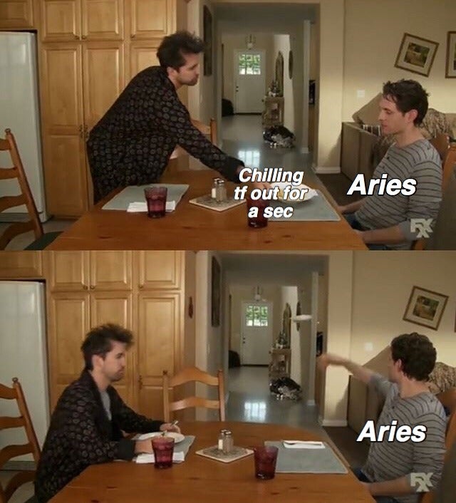 Best Aries Memes