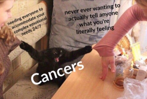 Best Cancer Zodiac Memes