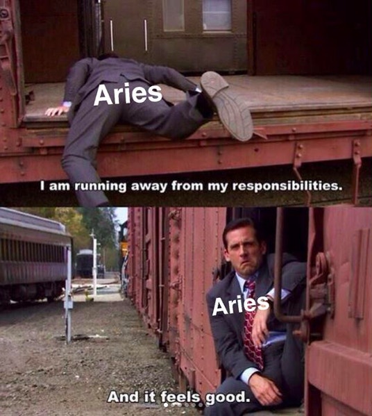 Best Aries Memes