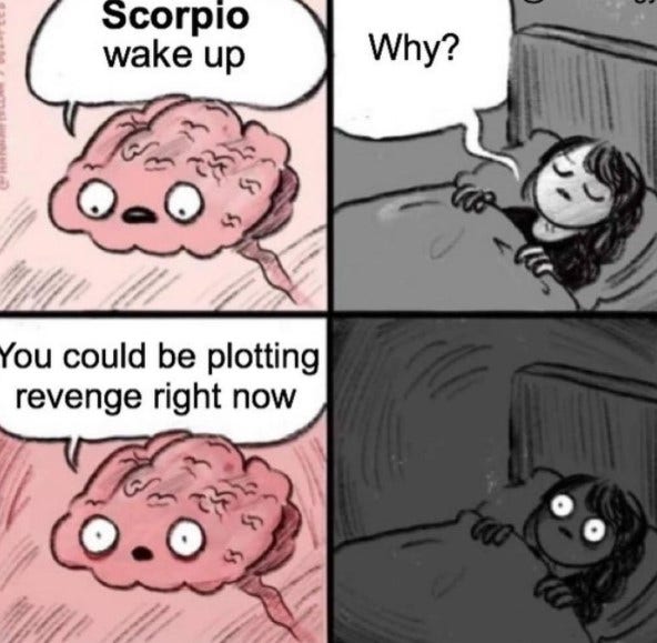 Best Scorpio Memes