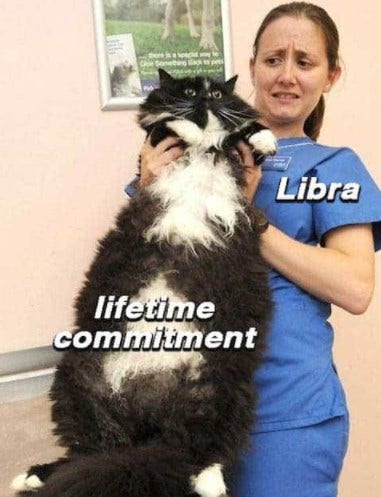 Best Libra Memes