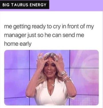 Best Taurus Memes