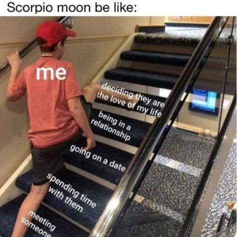 Best Scorpio Memes