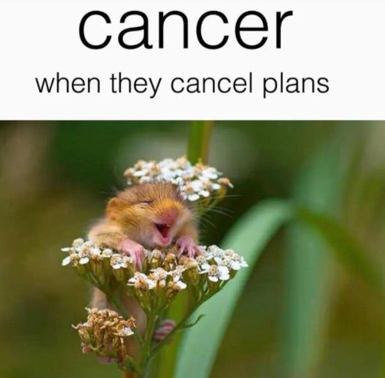 Best Cancer Zodiac Memes