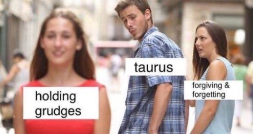 Best Taurus Memes