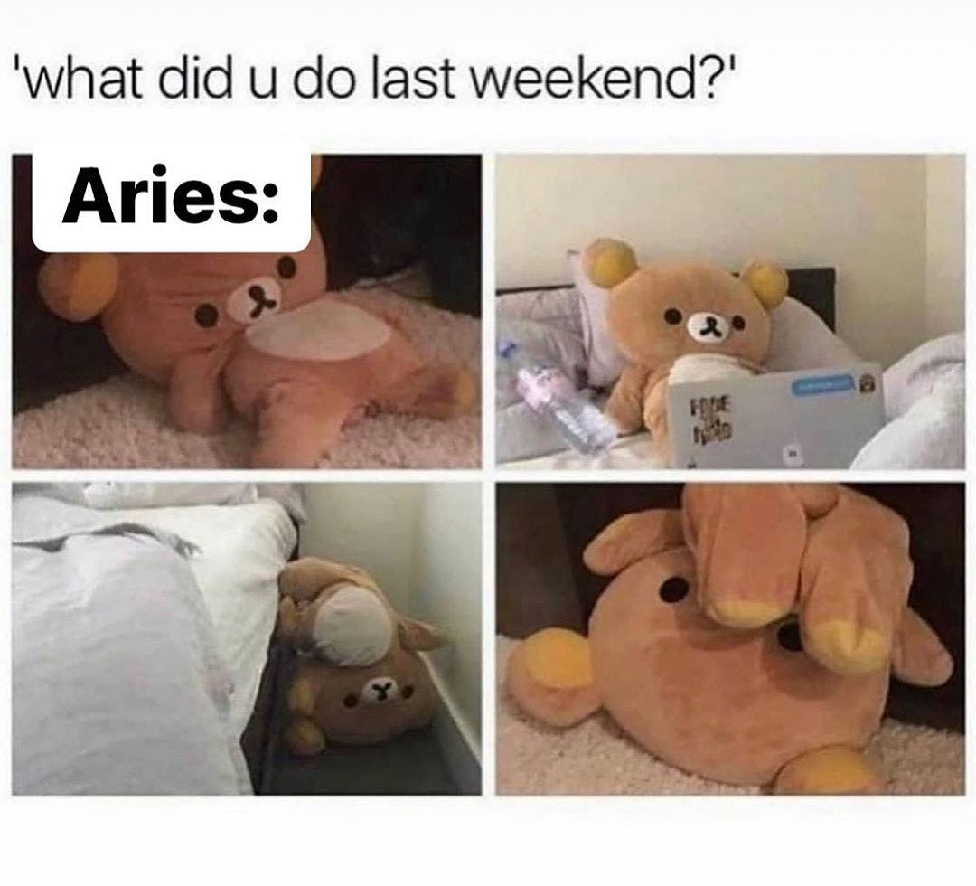 Best Aries Memes