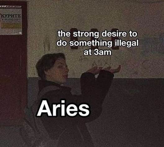 Best Aries Memes