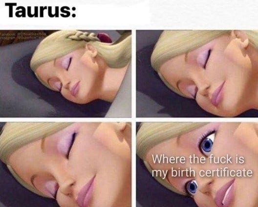 Best Taurus Memes