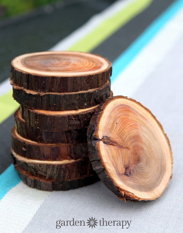 Natural Branch Coasters