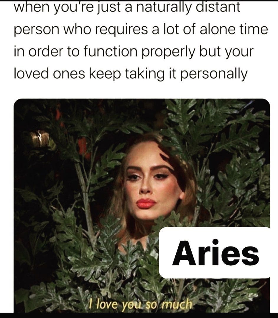 Best Aries Memes