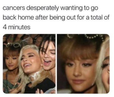 Best Cancer Zodiac Memes