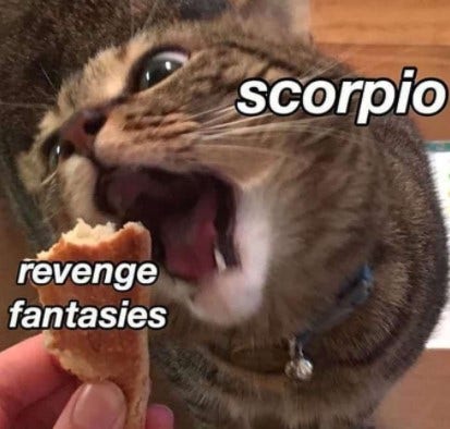 Best Scorpio Memes