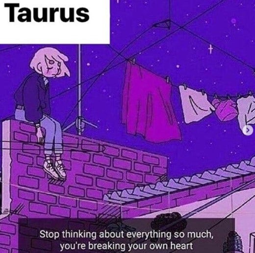 Best Taurus Memes