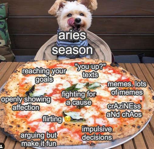 Best Aries Memes