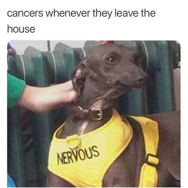 Best Cancer Zodiac Memes