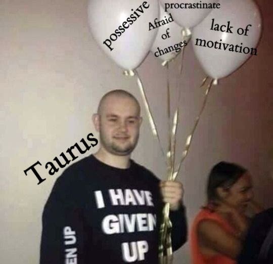 Best Taurus Memes