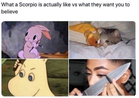 Best Scorpio Memes