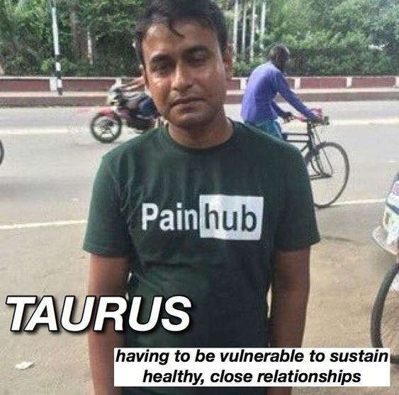 Best Taurus Memes