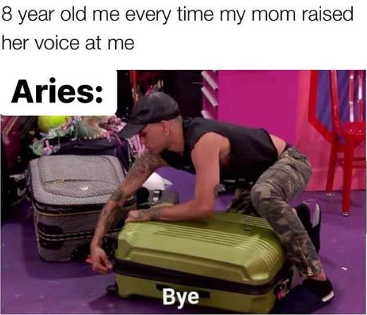 Best Aries Memes