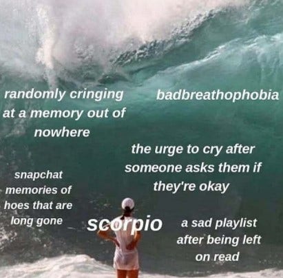 Best Scorpio Memes