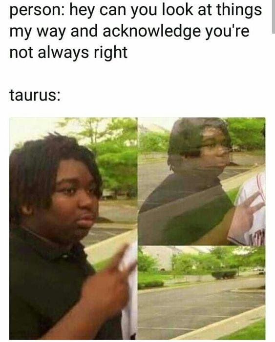 Best Taurus Memes