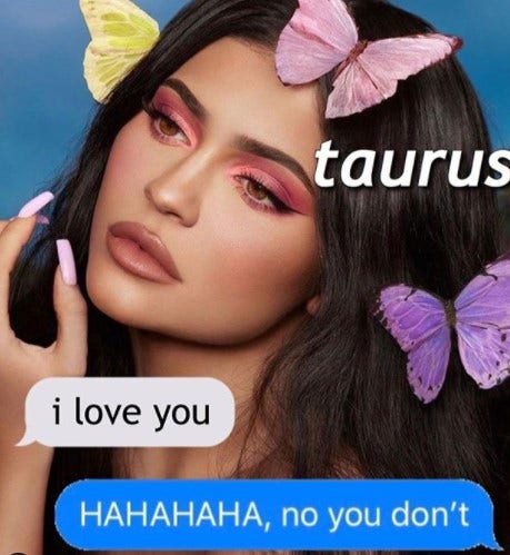 Best Taurus Memes