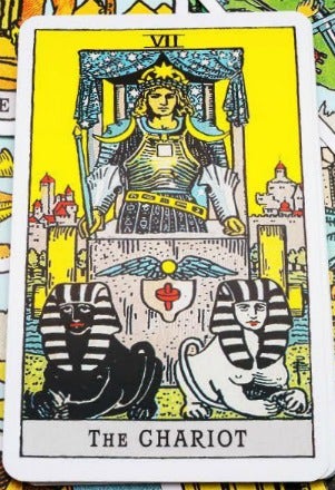 the chariot tarot card