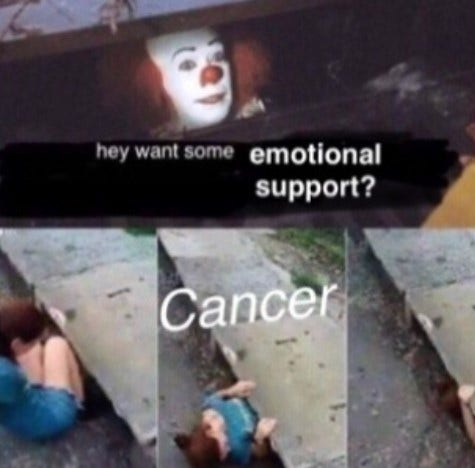 Best Cancer Zodiac Memes