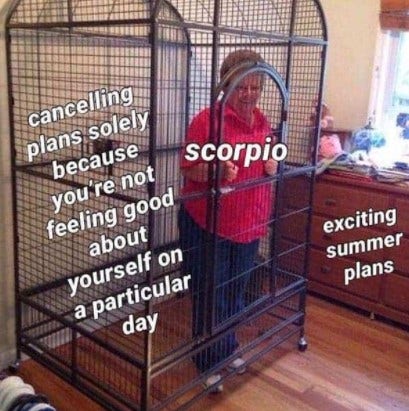 Best Scorpio Memes