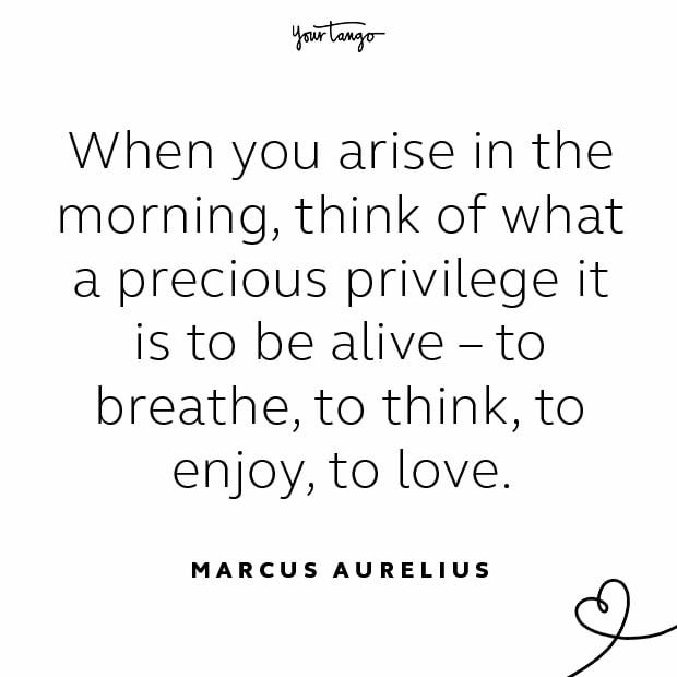 Marcus Aurelius stay together quote