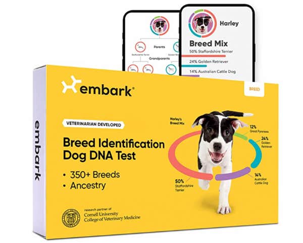 gift for sister / breed identification kit