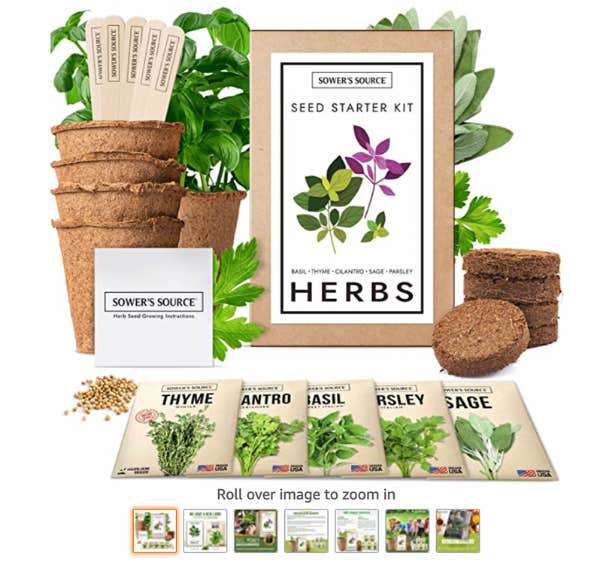 secret santa gift ideas / herb garden starter kit