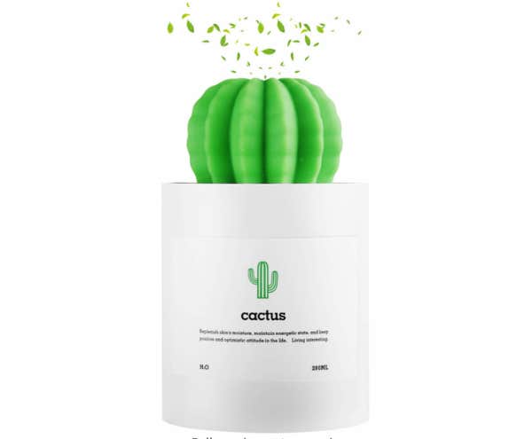 secret santa gift ideas / mini cactus humidifier 