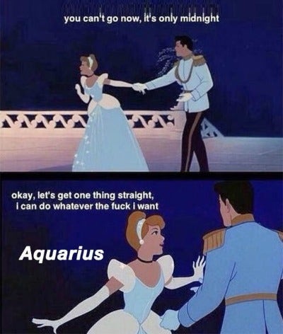 Best Aquarius Memes