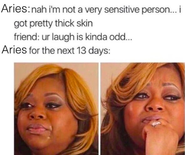 Best Aries Memes