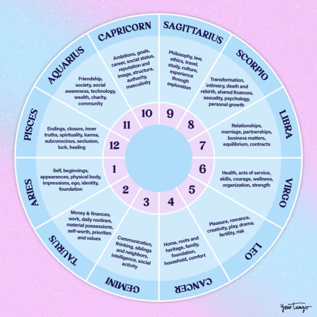 astrology houses wheel