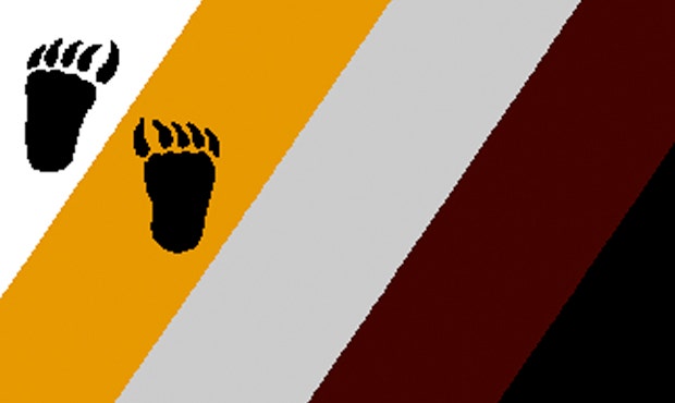 Bear Pride Flag