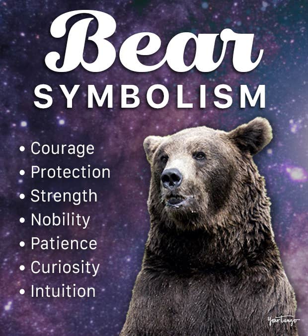 bear symbolism