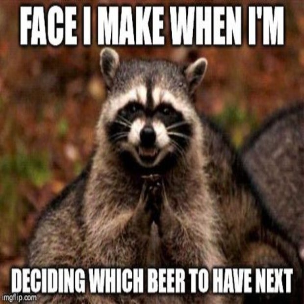 beer memes face i make when deciding what beer to have