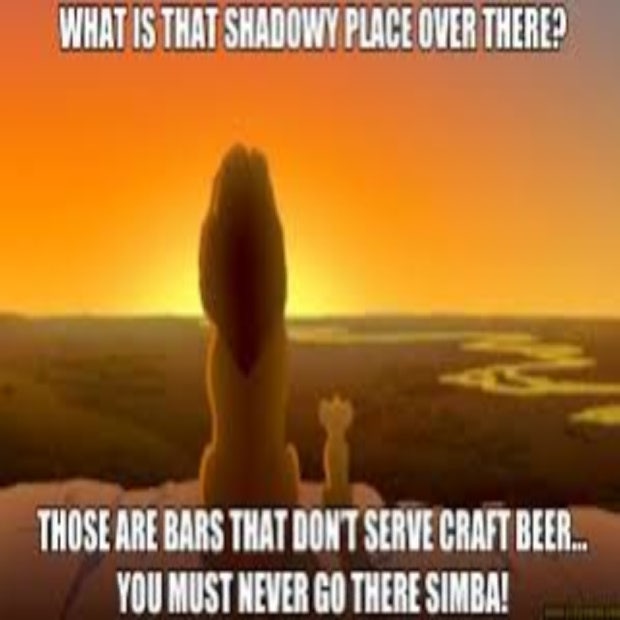 beer memes those are bars that dont serve craft beer mufasa lion king