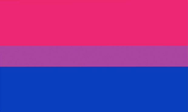 Bisexual Pride Flag